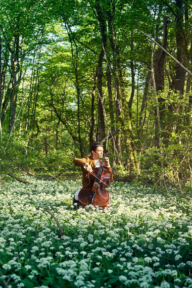 Gautier Capucon © Bort Warner